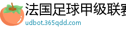 法国足球甲级联赛